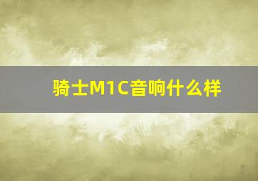 骑士M1C音响什么样