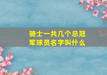 骑士一共几个总冠军球员名字叫什么