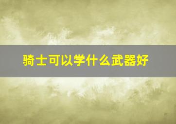 骑士可以学什么武器好