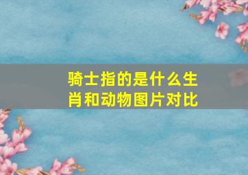 骑士指的是什么生肖和动物图片对比