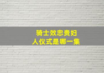 骑士效忠贵妇人仪式是哪一集