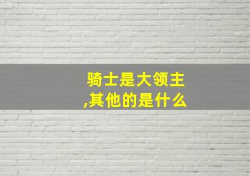 骑士是大领主,其他的是什么