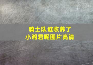 骑士队谁收养了小湘君呢图片高清