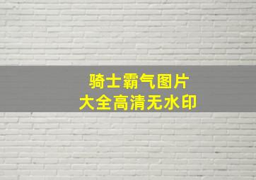 骑士霸气图片大全高清无水印