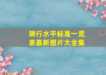 骑行水平标准一览表最新图片大全集