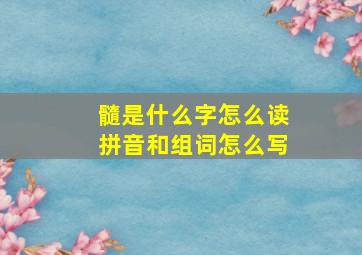 髓是什么字怎么读拼音和组词怎么写