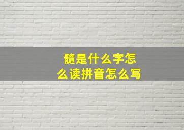 髓是什么字怎么读拼音怎么写