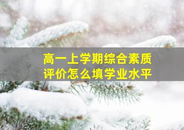 高一上学期综合素质评价怎么填学业水平