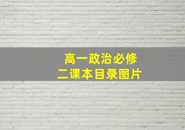 高一政治必修二课本目录图片