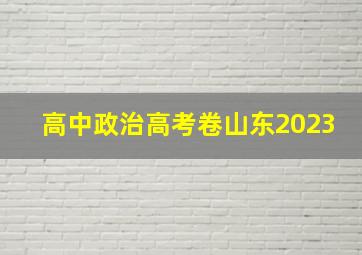 高中政治高考卷山东2023