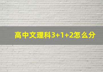 高中文理科3+1+2怎么分