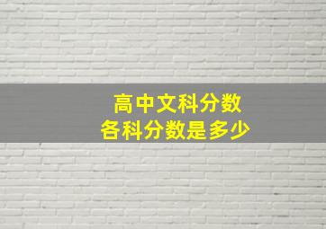 高中文科分数各科分数是多少