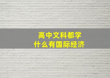 高中文科都学什么有国际经济