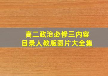 高二政治必修三内容目录人教版图片大全集