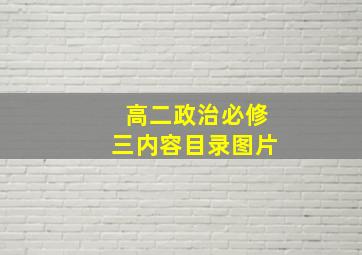 高二政治必修三内容目录图片