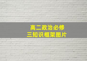 高二政治必修三知识框架图片