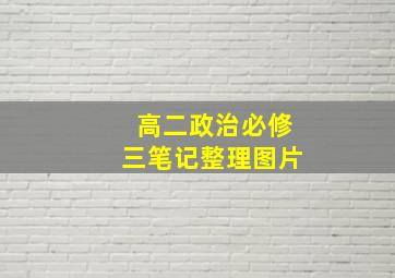 高二政治必修三笔记整理图片