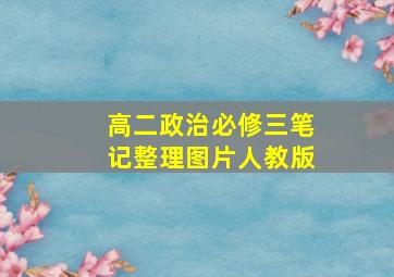 高二政治必修三笔记整理图片人教版