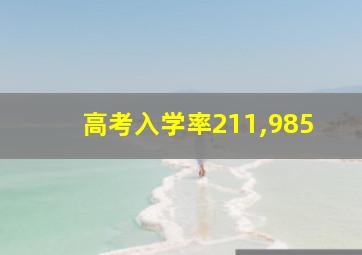 高考入学率211,985