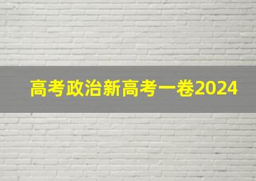 高考政治新高考一卷2024