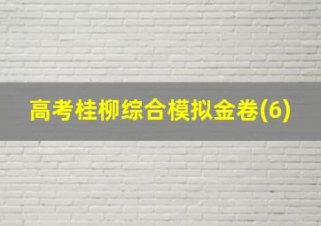 高考桂柳综合模拟金卷(6)