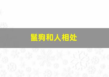 鬣狗和人相处