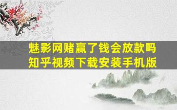 魅影网赌赢了钱会放款吗知乎视频下载安装手机版