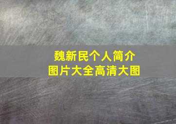 魏新民个人简介图片大全高清大图