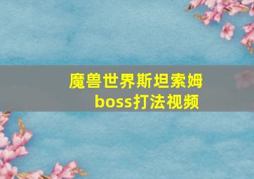 魔兽世界斯坦索姆boss打法视频