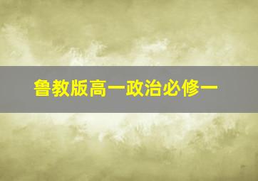 鲁教版高一政治必修一