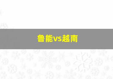 鲁能vs越南