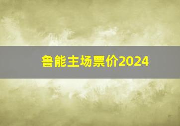 鲁能主场票价2024