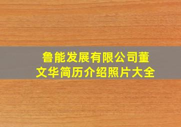 鲁能发展有限公司董文华简历介绍照片大全