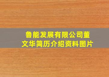 鲁能发展有限公司董文华简历介绍资料图片