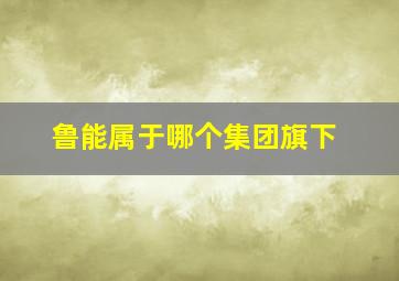 鲁能属于哪个集团旗下