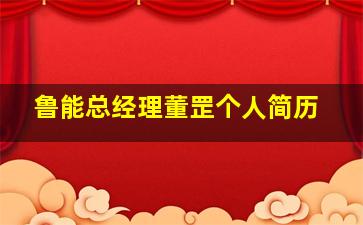 鲁能总经理董罡个人简历