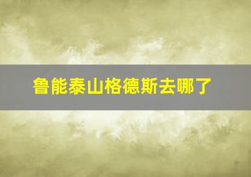 鲁能泰山格德斯去哪了