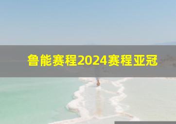 鲁能赛程2024赛程亚冠