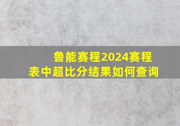 鲁能赛程2024赛程表中超比分结果如何查询