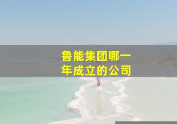 鲁能集团哪一年成立的公司