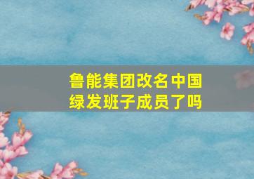 鲁能集团改名中国绿发班子成员了吗