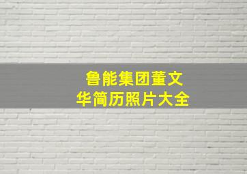 鲁能集团董文华简历照片大全