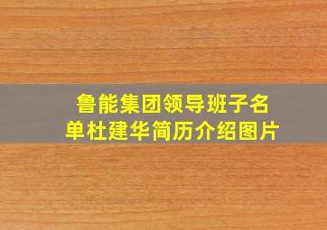 鲁能集团领导班子名单杜建华简历介绍图片