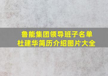 鲁能集团领导班子名单杜建华简历介绍图片大全