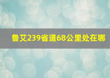 鲁艾239省道68公里处在哪