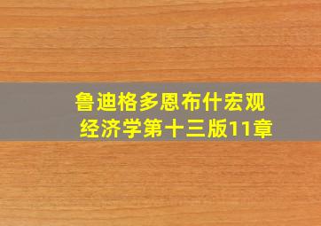 鲁迪格多恩布什宏观经济学第十三版11章