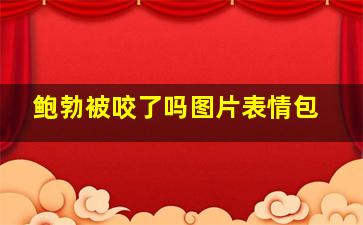 鲍勃被咬了吗图片表情包