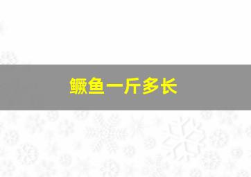 鳜鱼一斤多长