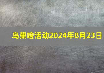 鸟巢啥活动2024年8月23日