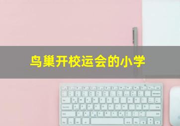 鸟巢开校运会的小学